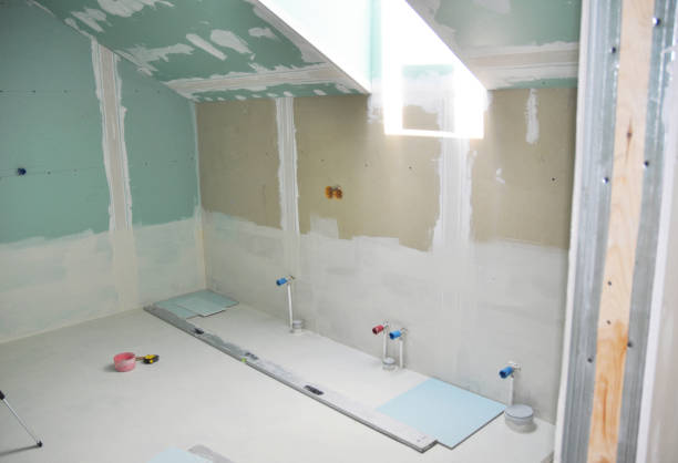 Best Mold Damage Restoration  in Carolina Beach, NC