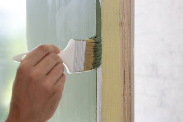 Best Attic Mold Removal  in Carolina Beach, NC