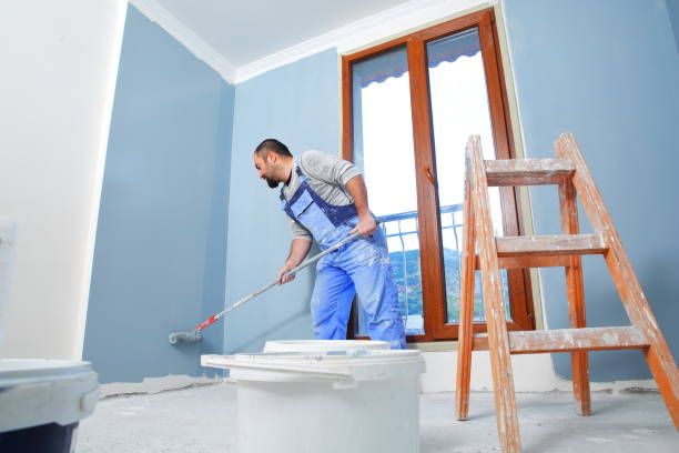 Best Attic Mold Removal  in Carolina Beach, NC