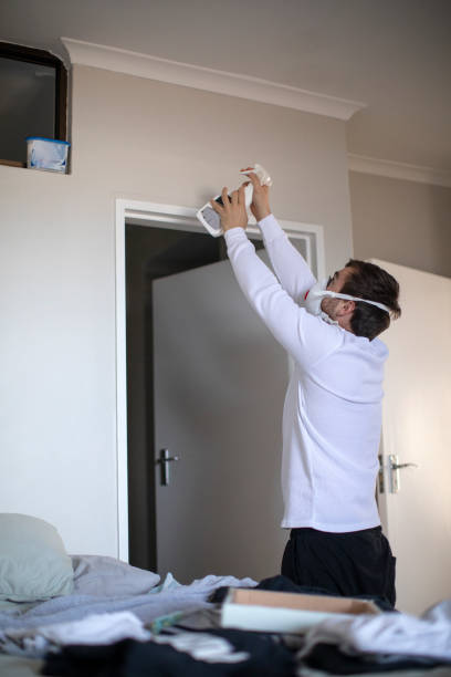Best Emergency Mold Remediation  in Carolina Beach, NC