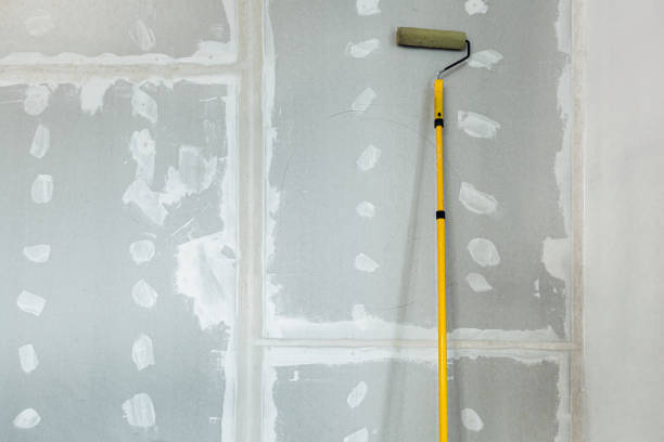 Best Basement Mold Removal  in Carolina Beach, NC