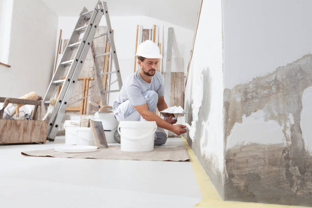 Best Residential Mold Inspection & Testing  in Carolina Beach, NC